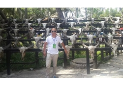 業(yè)務(wù)部-張羽